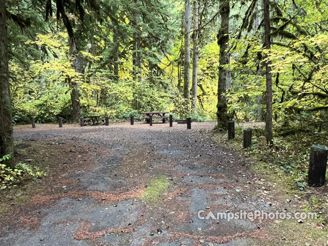 Trout Creek Campground 011