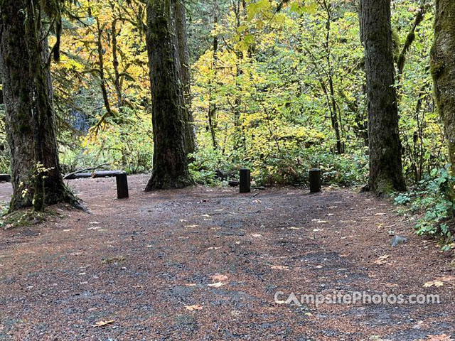 Trout Creek Campground 013