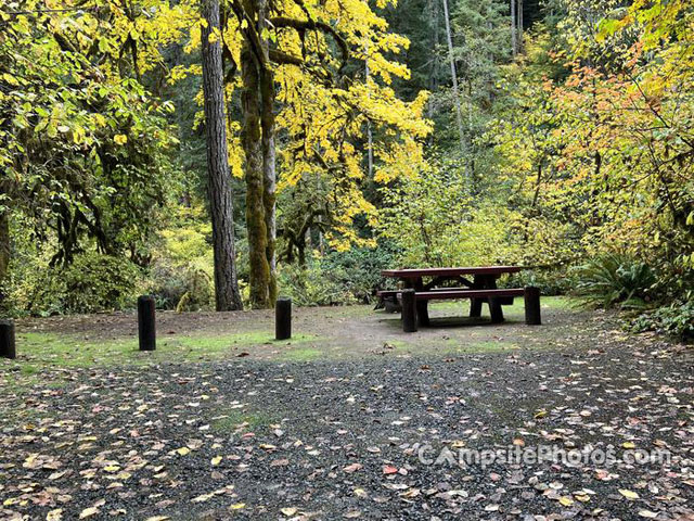 Trout Creek Campground 019