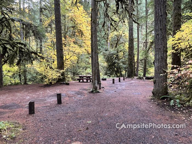 Trout Creek Campground 022