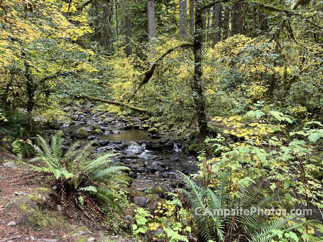 Trout Creek Campground Creek View