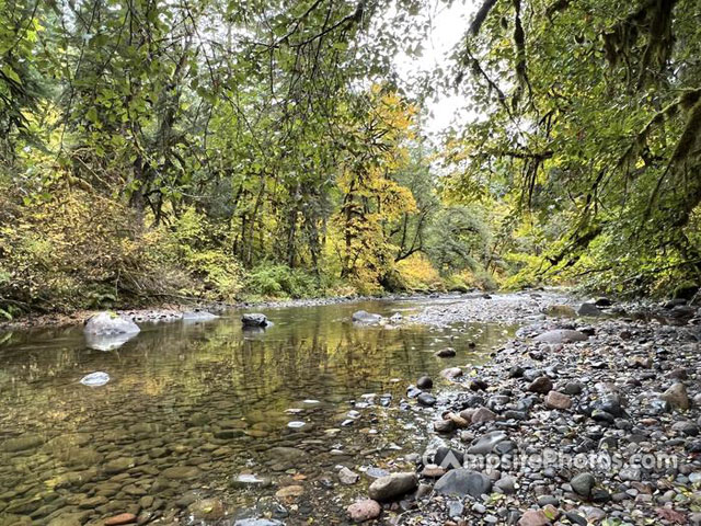 Trout Creek View