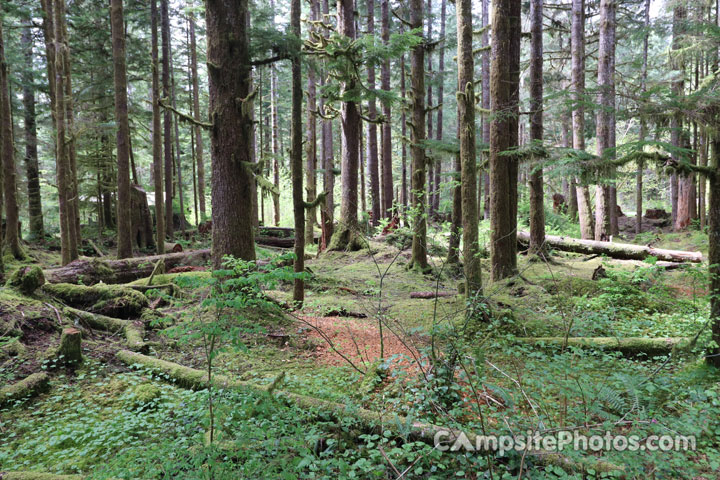 Coho Campground Scenic