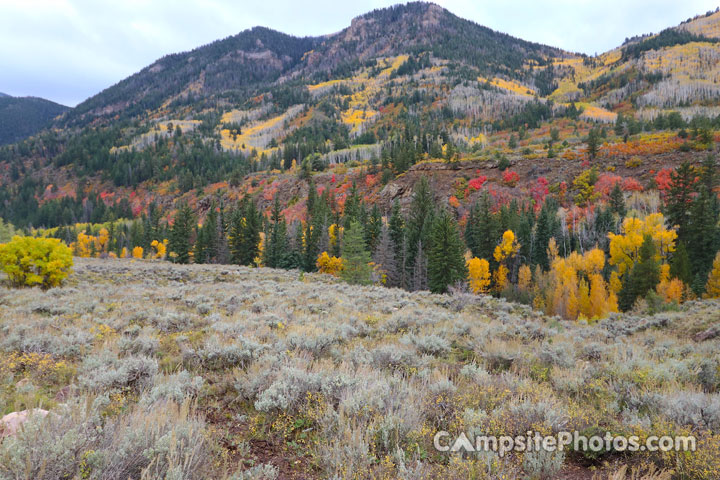 Aspen Campground Scenic