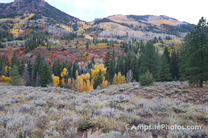 Hades Campground Scenic