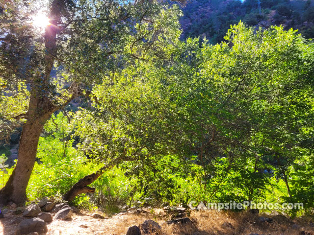 Dry Gulch Campground Scenic