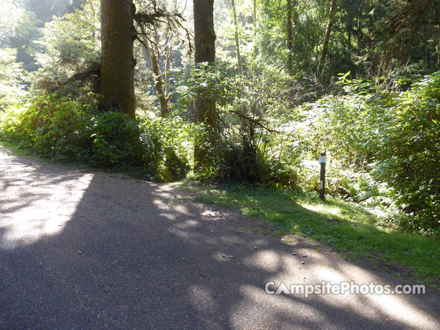 Cape Perpetua 014