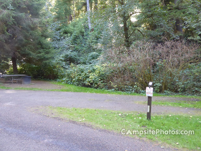 Cape Perpetua 035