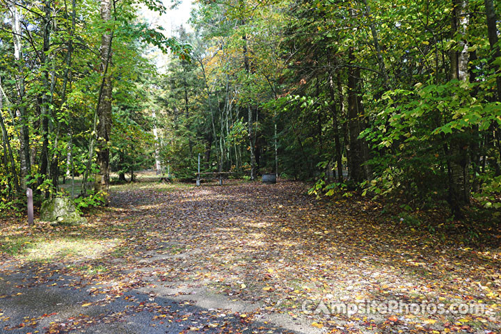 Brevoort Lake Recreation Area 048