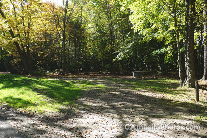 Brevoort Lake Recreation Area 049