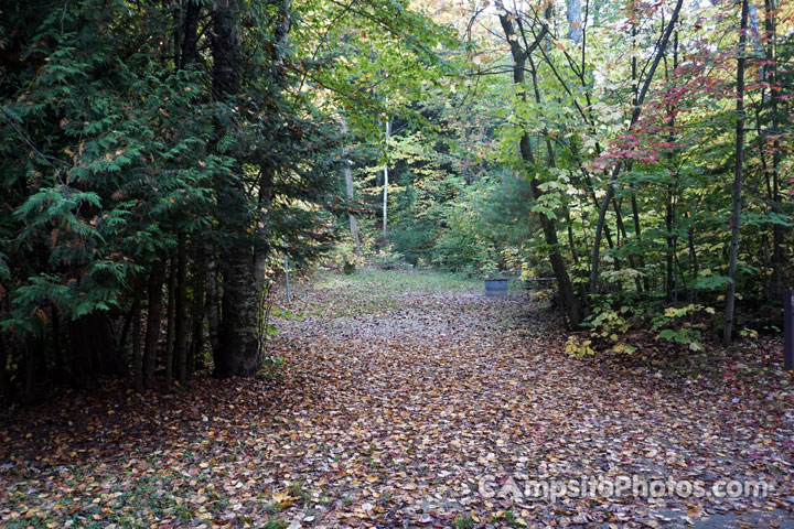 Brevoort Lake Recreation Area 056