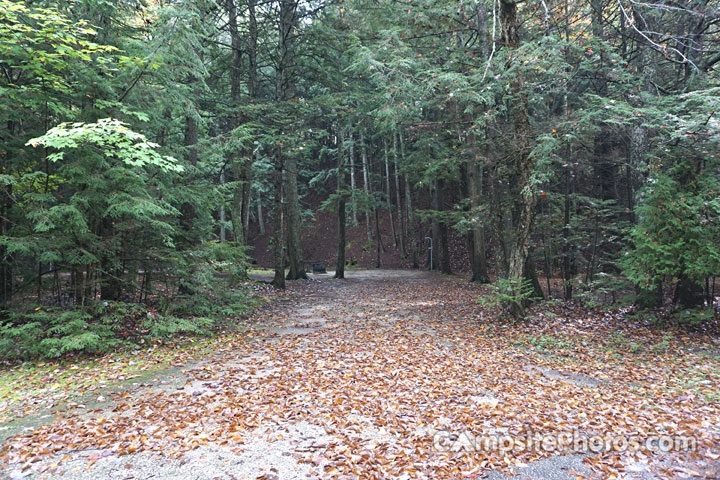 Brevoort Lake Recreation Area 070