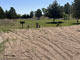 Bessey Recreation Complex Main Campground Group Tent Area