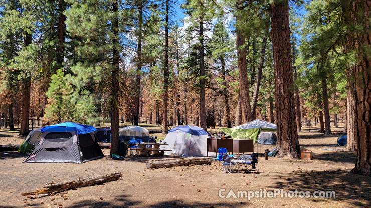 Butte Lake Group Site E