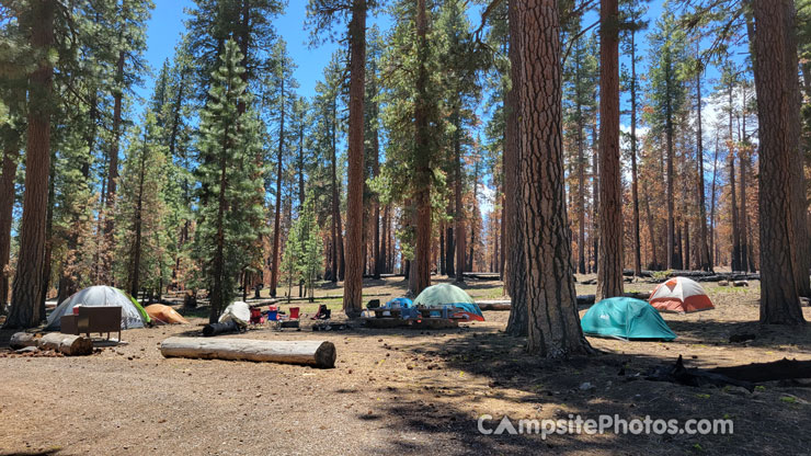 Butte Lake Group Site F