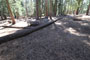 Bear River Group Campground Chipmunk Tent Camping Area 3