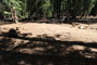 Bear River Group Campground Kokanee Tent Camping Area 2