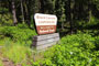 Black Canyon Campground Sign