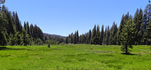 Big Meadows Cabin