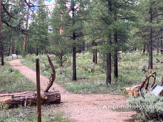 Ten-X Campground Nature Trail