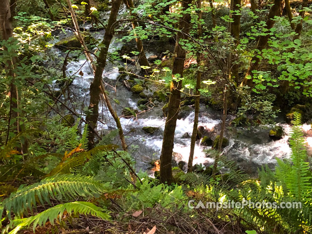 Pearch Creek Campground Creek View