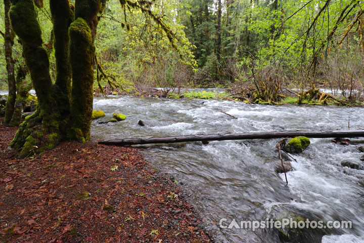 French Pete Campground Creek View