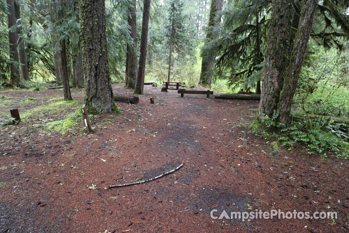 Limberlost Campground 005