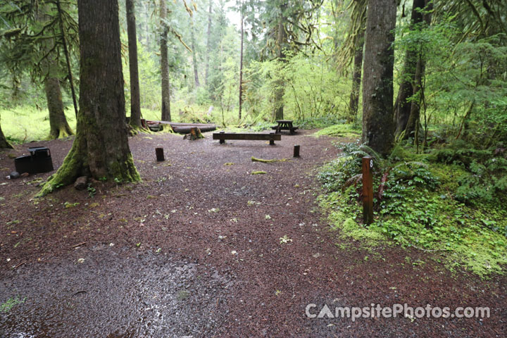 Limberlost Campground 008