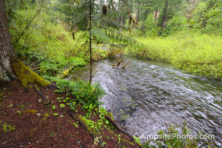 Limberlost Campground Scenic