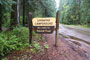 Limberlost Campground Sign