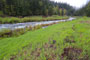 Sunnyside Campground Rivier View