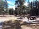 Clear Creek Campground Picnic Area