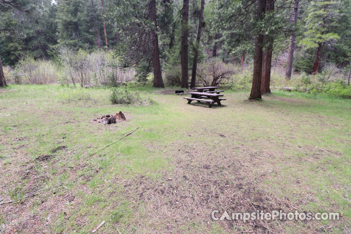Pioneer Ford Campground 008