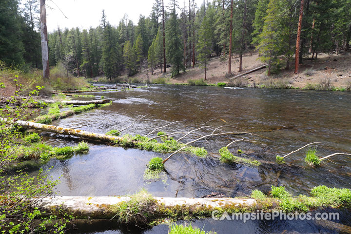 Pioneer Ford Campground Metolius River Scenic