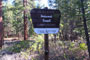 Cold Springs Campground Sign