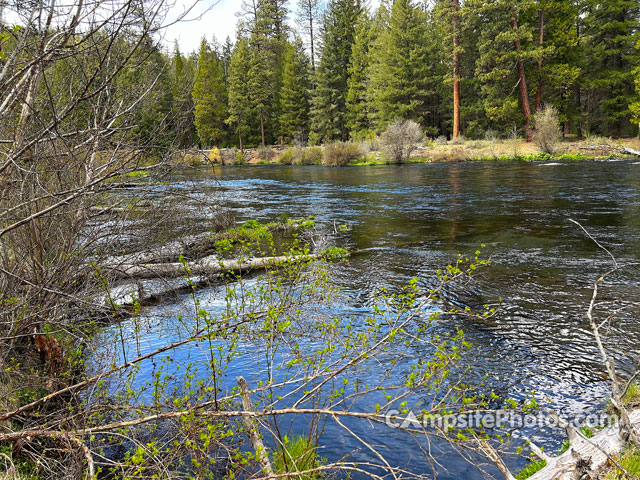 Allen Springs Campground Metolius River View