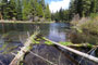 Allen Springs Campground Metolius River