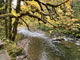 Yukwah Campground River View