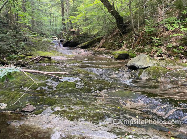 Chittenden Brook Scenic