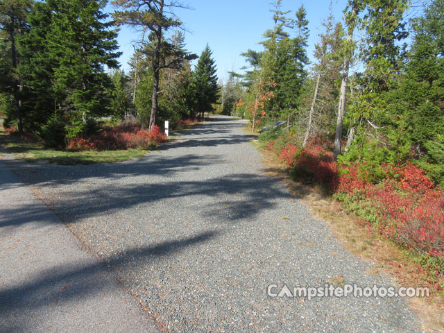 Schoodic Woods B009