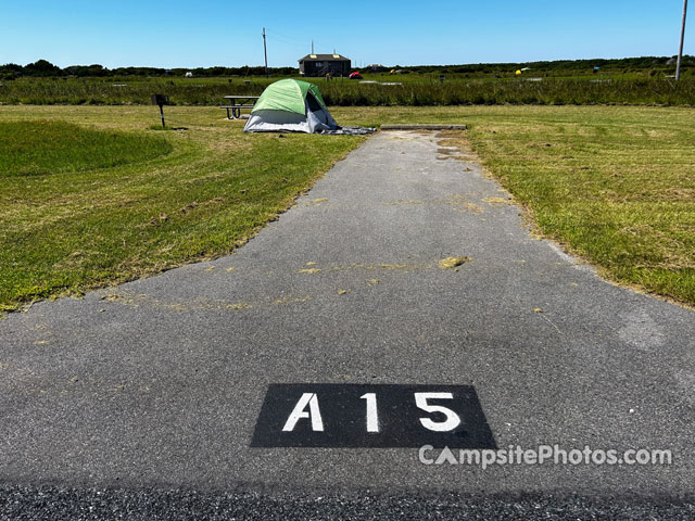 Cape Point A015