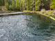 Lower Bridge Campground Metolius River Scenic