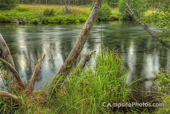 Allingham Campground Metolius River View