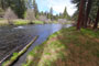 Pine Rest Campground Metolius River Scenic