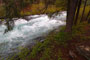 Candle Creek Campground View