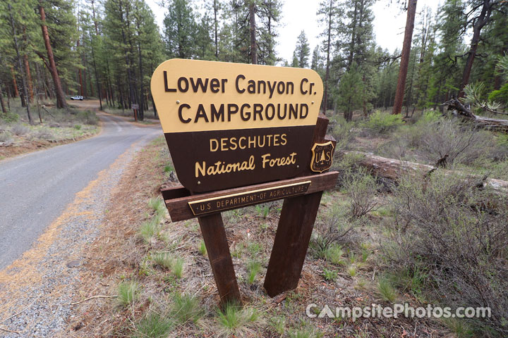 Lower Canyon Creek Campground Sign