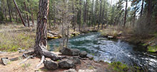 Lower Canyon Creek