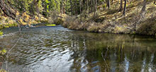 Lower Canyon Creek