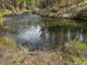 Lower Canyon Creek Campground Metolius River View