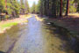 McKay Crossing Campground Paulina Creek View